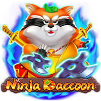 Ninja Raccoon